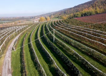 Terreno agricolo Via Pagno, 153, Saluzzo - foto 1