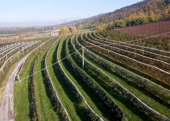 Terreno agricolo Via Pagno, 153, Saluzzo - foto 2