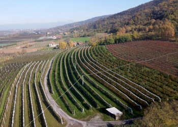 Terreno agricolo Via Pagno, 153, Saluzzo - foto 3