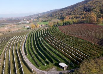 Terreno agricolo Via Pagno, 153, Saluzzo - foto 4