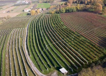 Terreno agricolo Via Pagno, 153, Saluzzo - foto 6
