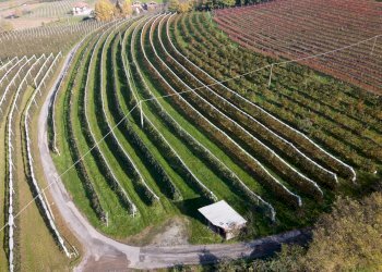 Terreno agricolo Via Pagno, 153, Saluzzo - foto 7