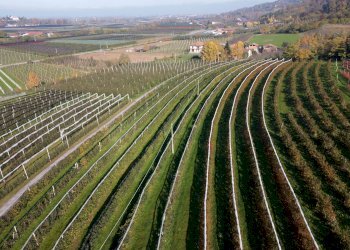 Terreno agricolo Via Pagno, 153, Saluzzo - foto 8