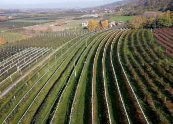 Terreno agricolo Via Pagno, 153, Saluzzo - foto 9