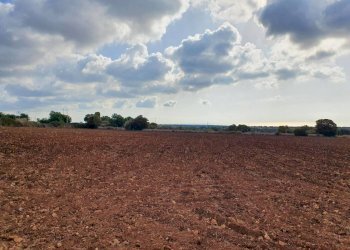 4.jpg - Rustico Modica - foto 3