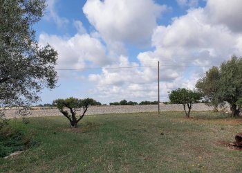 43.jpg - Rustico Modica - foto 28