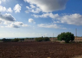 45.jpg - Rustico Modica - foto 30