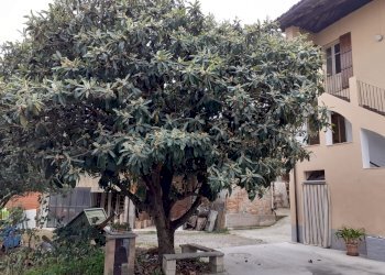 Terratetto - Terracielo Castelnuovo Don Bosco - foto 1