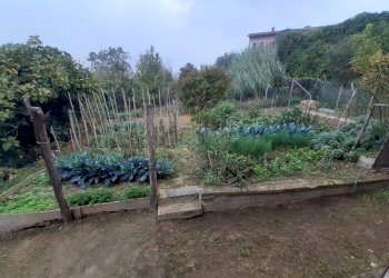 Terratetto - Terracielo Castelnuovo Don Bosco - foto 18