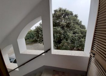 Terratetto - Terracielo Castelnuovo Don Bosco - foto 3