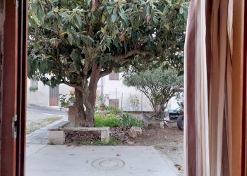 Terratetto - Terracielo Castelnuovo Don Bosco - foto 21