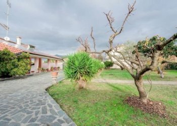 img_379_1.jpg - Villa Via Privata Villa Ceci 21, Carrara - foto 2