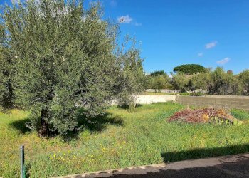 39.jpg - Villa Modica - foto 22