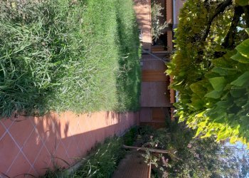 Villa a Schiera Ferrara - foto 21