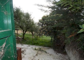 P1000575.jpg - Porzione di casa Belvedere Ostrense - foto 17