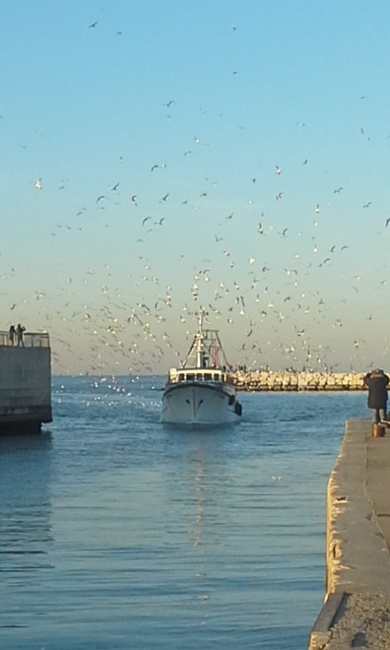 3.jpg - Bar Tavola Calda - Fredda Viale Emilio Praga 25, Rimini - foto 3