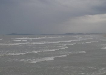 2.jpg - Bar Tavola Calda - Fredda Viale Emilio Praga 25, Rimini - foto 2