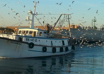 4.jpg - Bar Tavola Calda - Fredda Viale Emilio Praga 25, Rimini - foto 4