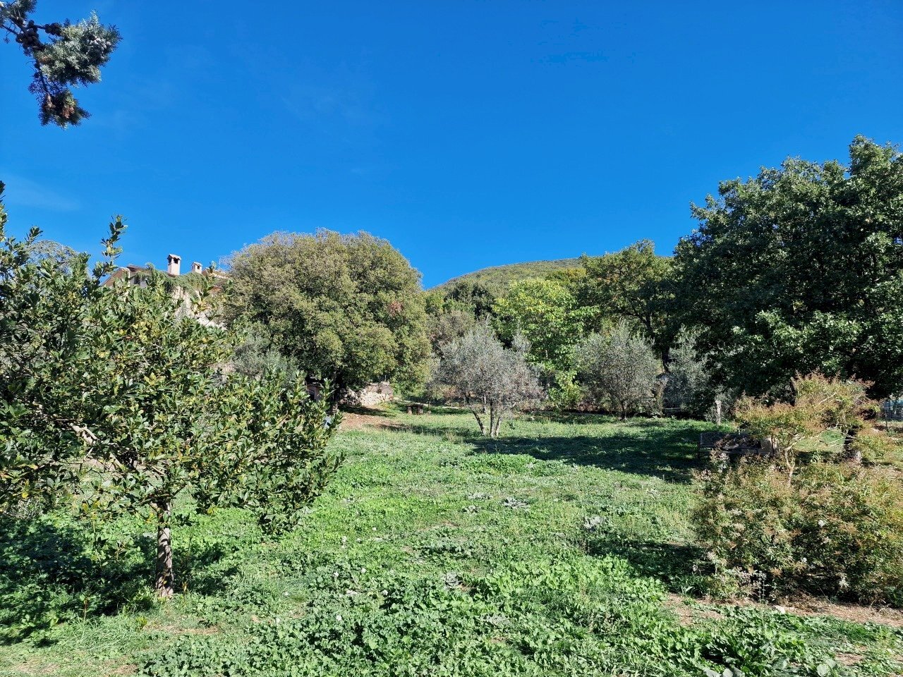 20221101_115232.jpg - Terreno edificabile Via Giovanni Falcone e Paolo Borsellino 1, Lugnano in Teverina - foto 1