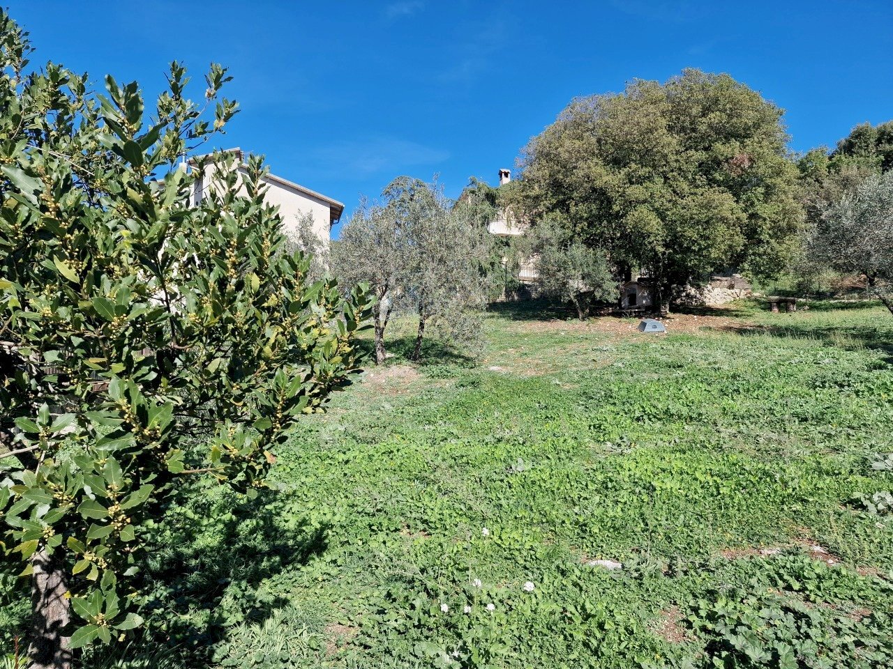 20221101_115142.jpg - Terreno edificabile Via Giovanni Falcone e Paolo Borsellino 1, Lugnano in Teverina - foto 2