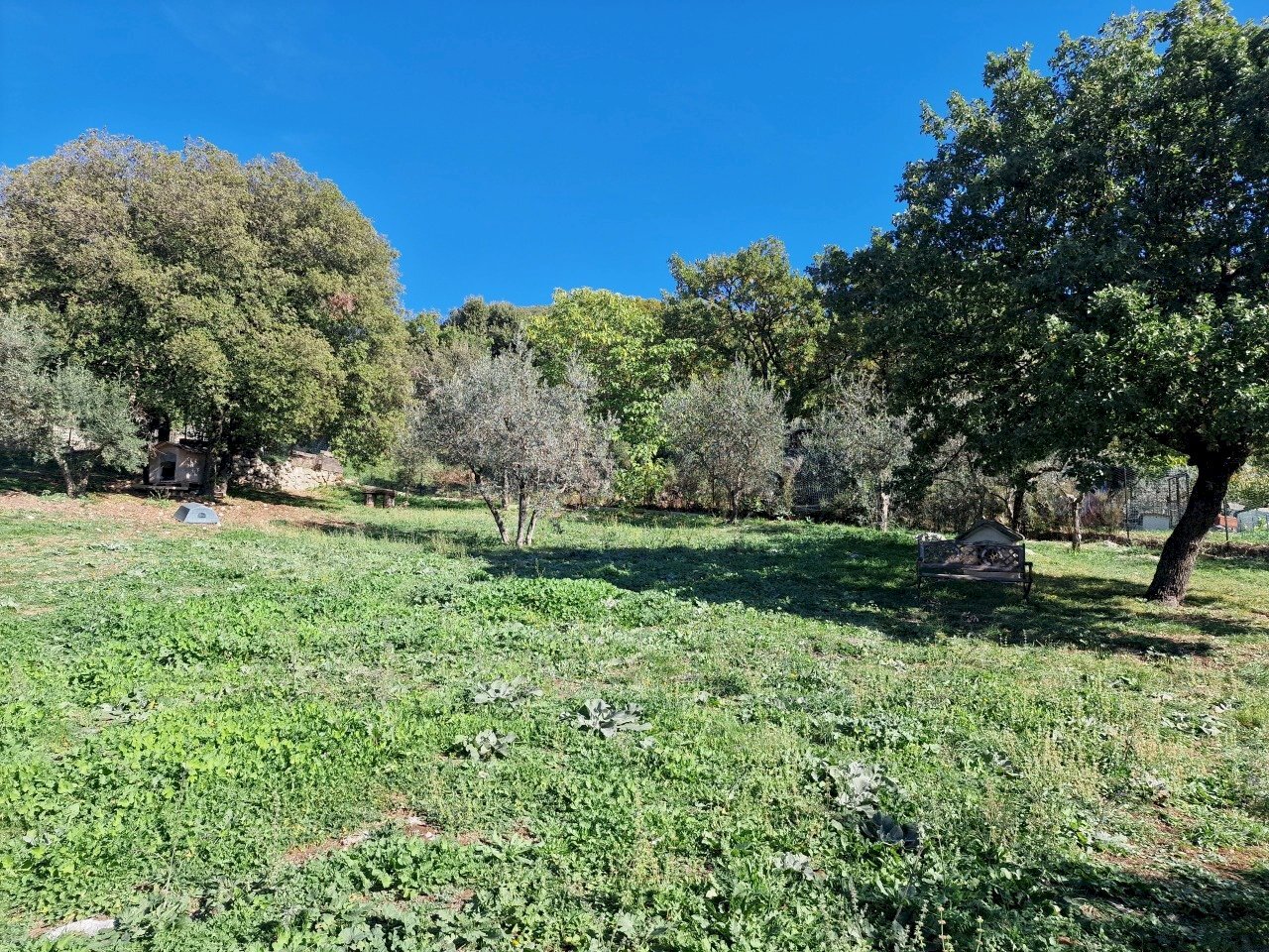 20221101_115145.jpg - Terreno edificabile Via Giovanni Falcone e Paolo Borsellino 1, Lugnano in Teverina - foto 3