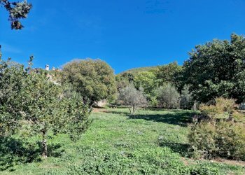 20221101_115232.jpg - Terreno edificabile Via Giovanni Falcone e Paolo Borsellino 1, Lugnano in Teverina - foto 1