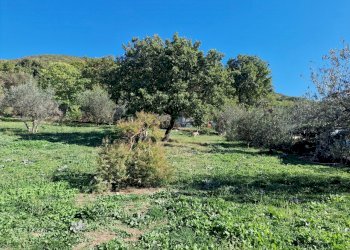 20221101_115156.jpg - Terreno edificabile Via Giovanni Falcone e Paolo Borsellino 1, Lugnano in Teverina - foto 4