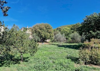 20221101_115158.jpg - Terreno edificabile Via Giovanni Falcone e Paolo Borsellino 1, Lugnano in Teverina - foto 5