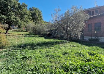 20221101_115201.jpg - Terreno edificabile Via Giovanni Falcone e Paolo Borsellino 1, Lugnano in Teverina - foto 6