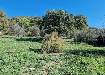 20221101_115230.jpg - Terreno edificabile Via Giovanni Falcone e Paolo Borsellino 1, Lugnano in Teverina - foto 9