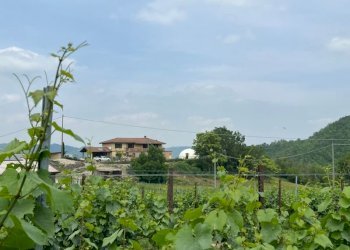 Agriturismo Acqui Terme - photo 6