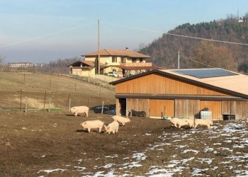 Agriturismo Acqui Terme - photo 8