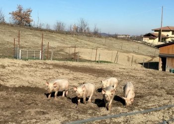 Agriturismo Acqui Terme - photo 9