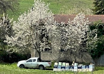 Agriturismo Acqui Terme - photo 11