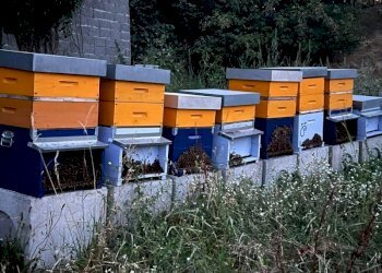 Agriturismo Acqui Terme - photo 14