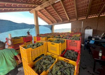 Agriturismo Acqui Terme - photo 15