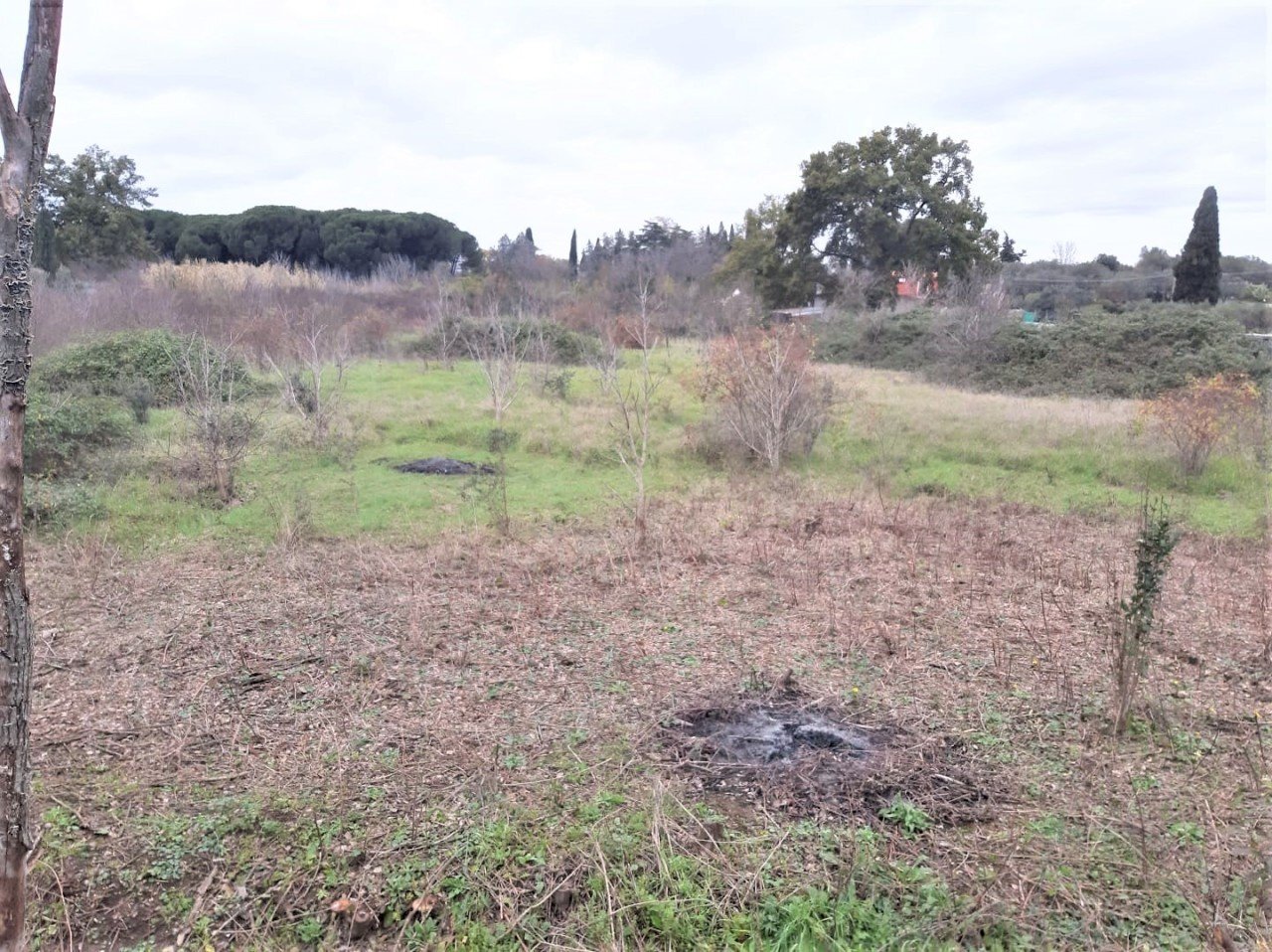 WhatsApp Image 2023-01-13 at 15.37.55 (1).jpeg - Terreno agricolo Strada Scalette 33, Tivoli - foto 2