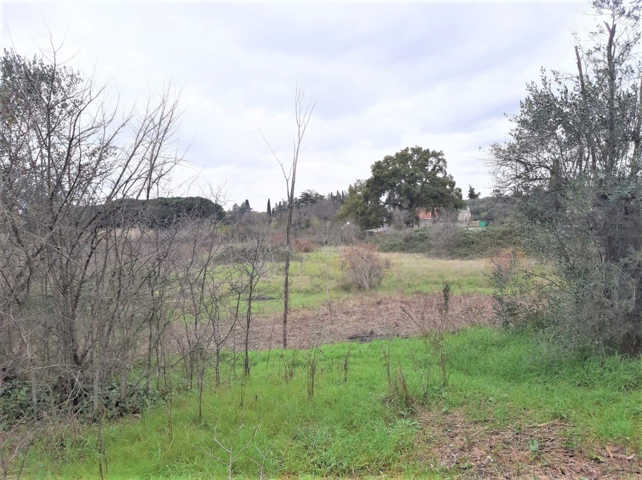 WhatsApp Image 2023-01-13 at 15.37.55.jpeg - Terreno agricolo Strada Scalette 33, Tivoli - foto 3