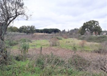 WhatsApp Image 2023-01-13 at 15.38.00 (1).jpeg - Terreno agricolo Strada Scalette 33, Tivoli - foto 1