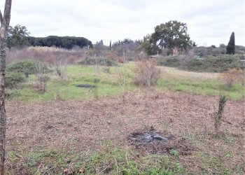 WhatsApp Image 2023-01-13 at 15.37.55 (1).jpeg - Terreno agricolo Strada Scalette 33, Tivoli - foto 2