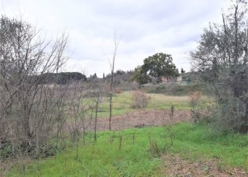 WhatsApp Image 2023-01-13 at 15.37.55.jpeg - Terreno agricolo Strada Scalette 33, Tivoli - foto 3