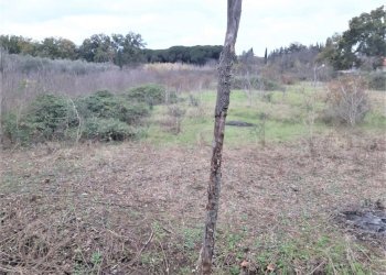 WhatsApp Image 2023-01-13 at 15.37.56 (1).jpeg - Terreno agricolo Strada Scalette 33, Tivoli - foto 4