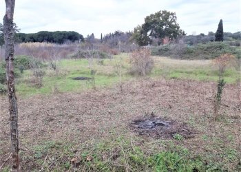 WhatsApp Image 2023-01-13 at 15.37.56 (2).jpeg - Terreno agricolo Strada Scalette 33, Tivoli - foto 5