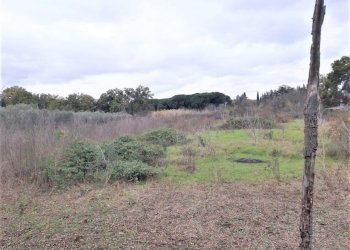 WhatsApp Image 2023-01-13 at 15.37.56.jpeg - Terreno agricolo Strada Scalette 33, Tivoli - foto 6