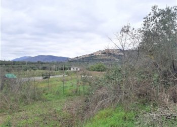 WhatsApp Image 2023-01-13 at 15.37.57 (1).jpeg - Terreno agricolo Strada Scalette 33, Tivoli - foto 7