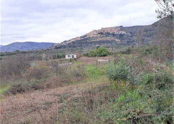 WhatsApp Image 2023-01-13 at 15.37.57.jpeg - Terreno agricolo Strada Scalette 33, Tivoli - foto 8