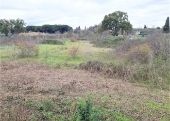 WhatsApp Image 2023-01-13 at 15.37.59.jpeg - Terreno agricolo Strada Scalette 33, Tivoli - foto 9