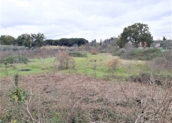 WhatsApp Image 2023-01-13 at 15.38.00 (2).jpeg - Terreno agricolo Strada Scalette 33, Tivoli - foto 10