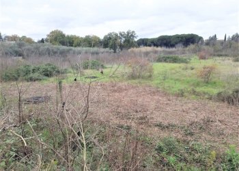 WhatsApp Image 2023-01-13 at 15.38.00 (3).jpeg - Terreno agricolo Strada Scalette 33, Tivoli - foto 11