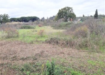 WhatsApp Image 2023-01-13 at 15.38.00.jpeg - Terreno agricolo Strada Scalette 33, Tivoli - foto 12